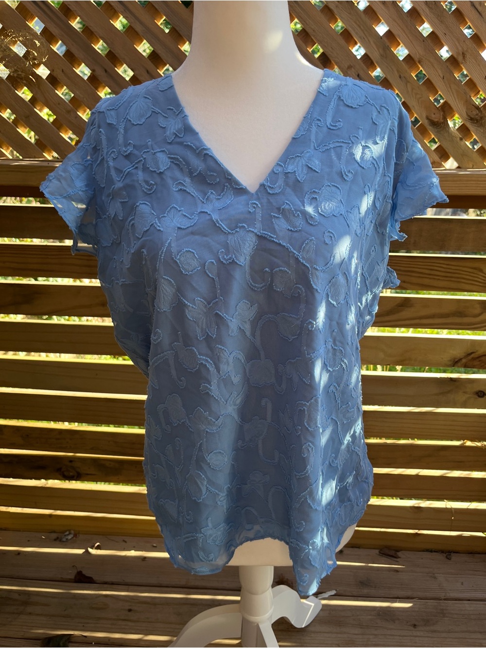 Women's Light Blue V-Neck Embroidered Blouse